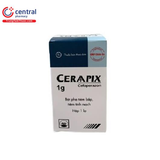 ceraapix 1g 1 D1678