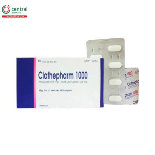 clathepharm 1000 1 E1563
