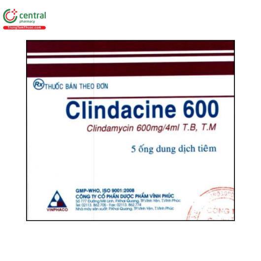 clindacine 600 1 G2768