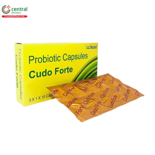 cudo forte 1 L4826