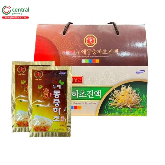 culture wild ginseng root silkworm cordyceps extract 1 P6211