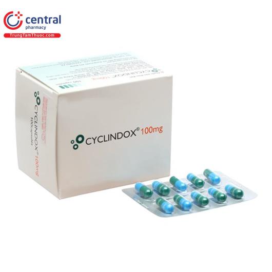 cyclindox100mg2 H3036