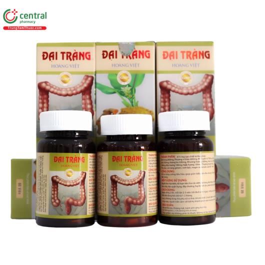 dai trang hoang viet 1 L4541