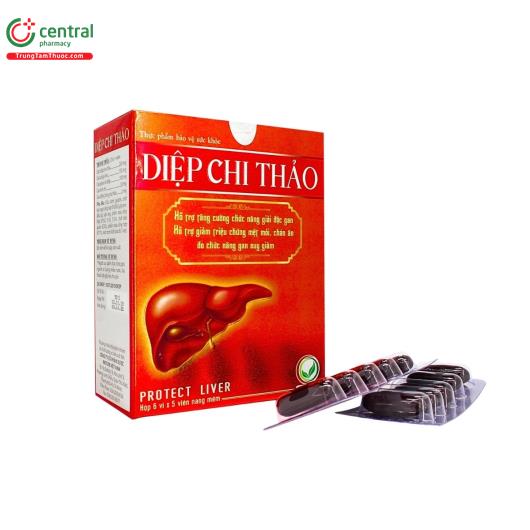 diep chi thao 1 V8155