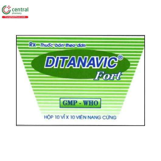 ditanavic fort 1 I3462