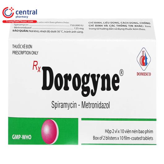 dorogyne 1 E1304