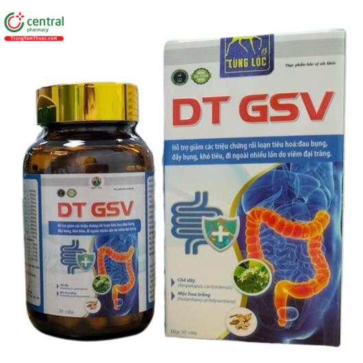 dt gsv 1 B0134