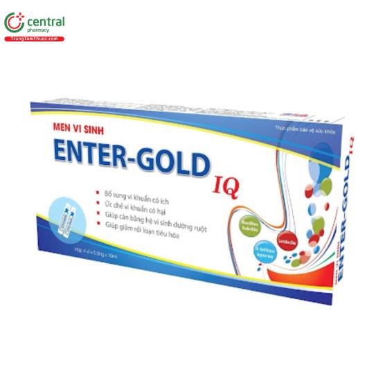 enter gold iq 1 P6138