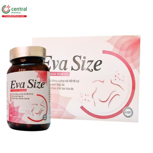 eva size 1 H2747