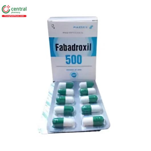 fabadroxil 500 1 N5508