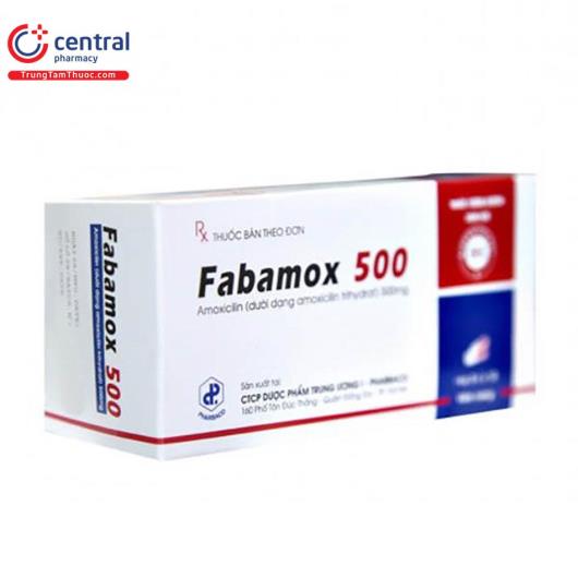 fabamox 500 1 G2614