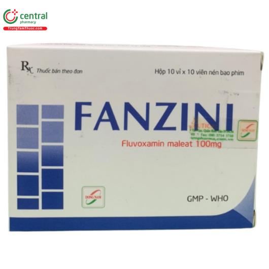 fanzini 100mg 10 H2132