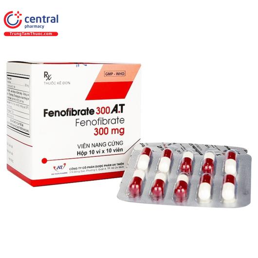 fenofibrate 300 at 1 M5886