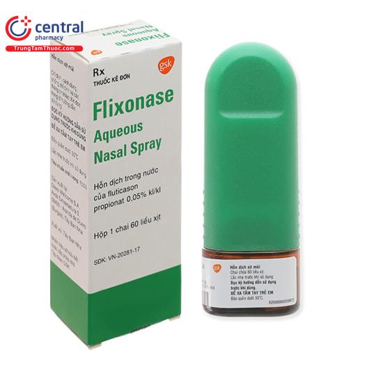 flixonase H2206