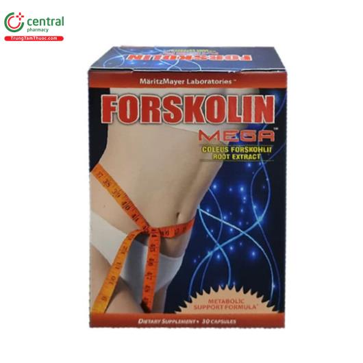 forskolin mega 1 C1557