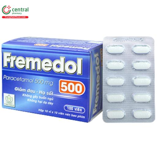 fremedol 500mg V8110