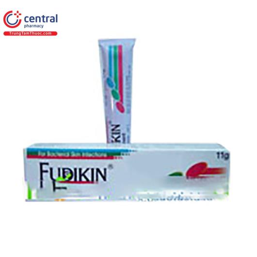 fudikin 11g P6543