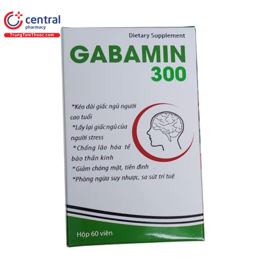 gabamin 300 1 P6264