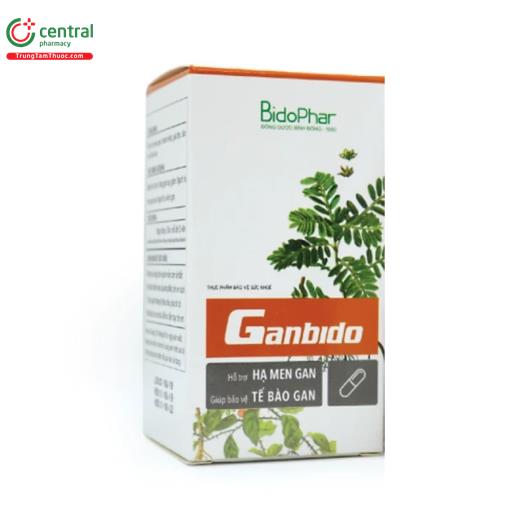 ganbido 2 G2178