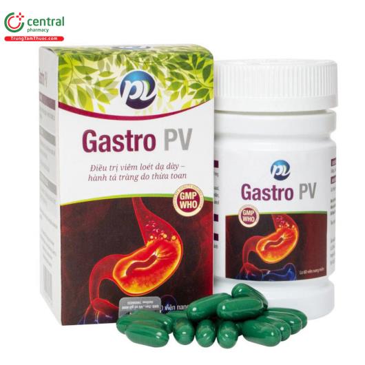 gastro pv I3352
