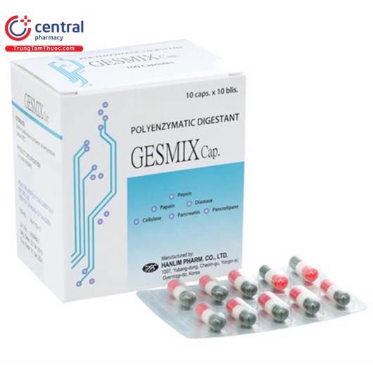 gesmixcap1 I3018