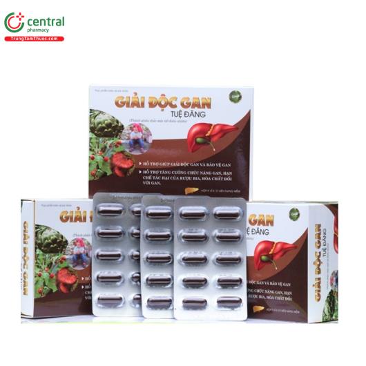 giai doc gan tue dang 1 G2853