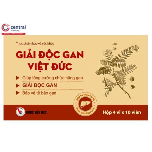 giai doc gan viet duc P6256