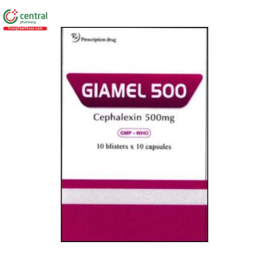 giamel 500 1 F2547