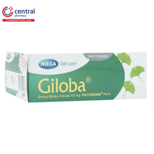 giloba 40 1 Q6713