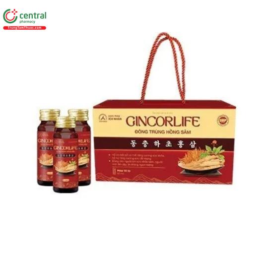 gincorlife dong trung hong sam 1 P6211