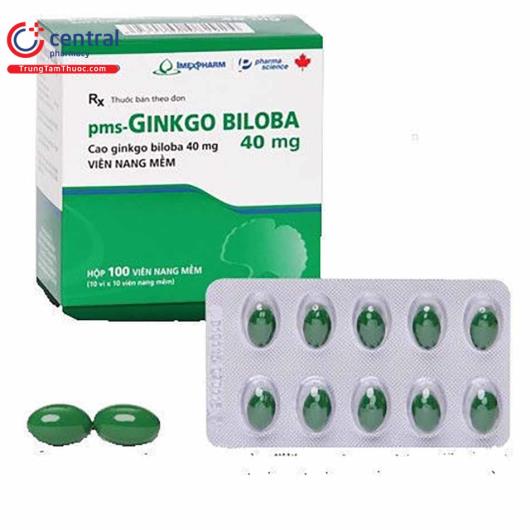 ginkgo biloba 40mg imexpharm B0248