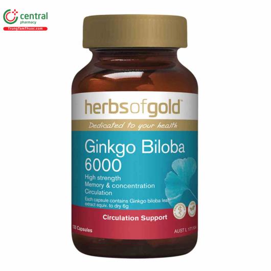 ginkgo biloba 6000 1 K4150