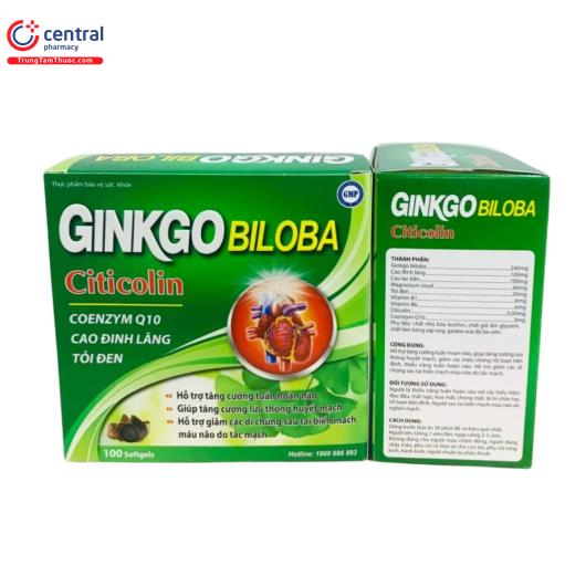 ginkgo biloba citicolin mediusa 1 L4675