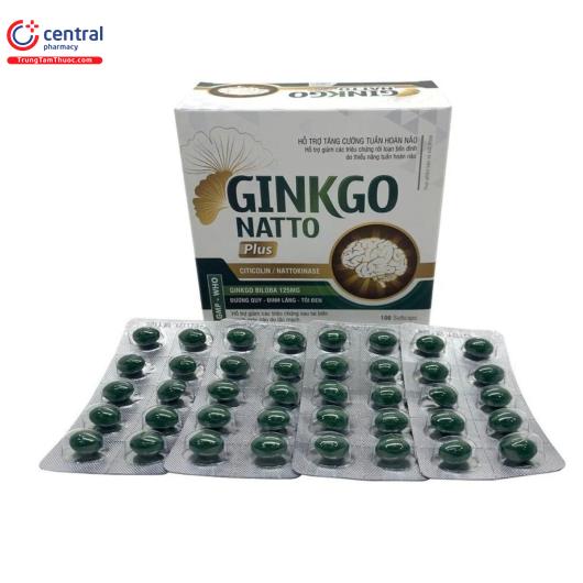 ginkgo natto plus vinaphar 1 N5367