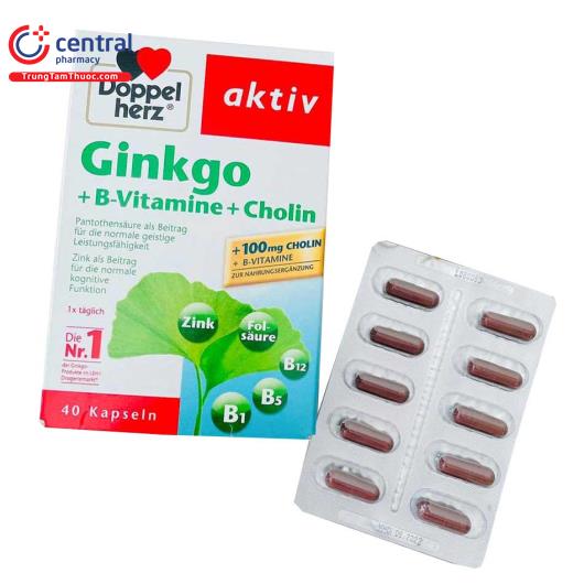 ginkgo vitamin b choline 1 N5546