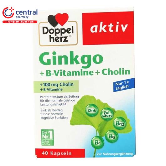ginkgo vitamin b choline 5 I3664