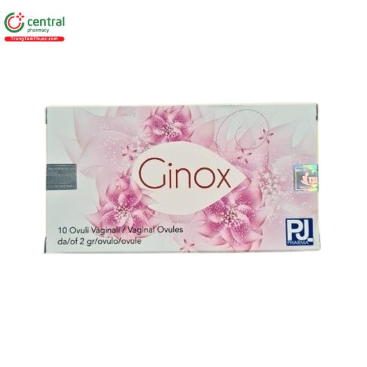 ginox 1 Q6343