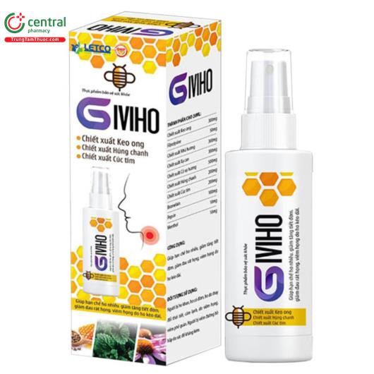 giviho 6 E1877