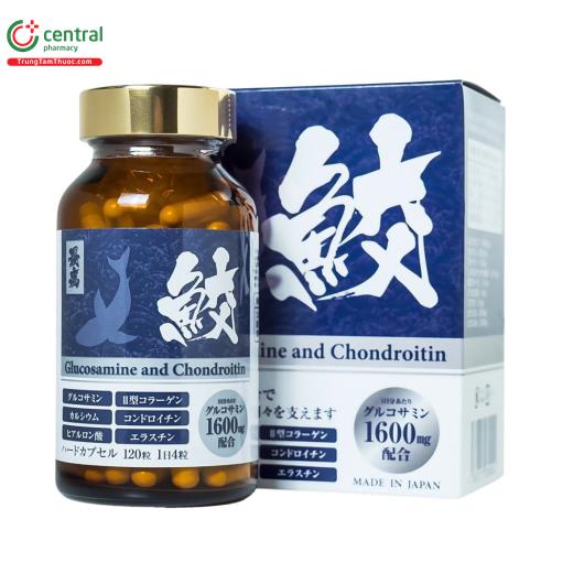 glucosamine and chondroitin jpanwell 1 J3154