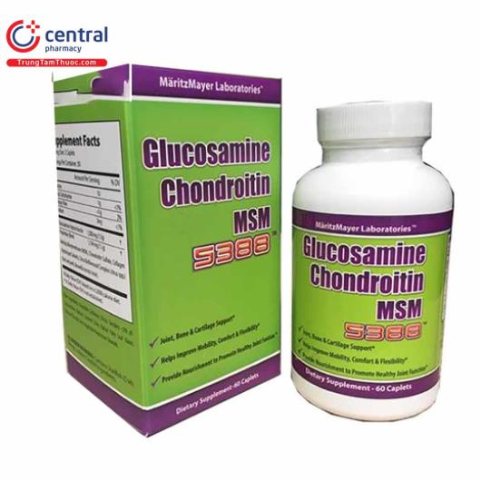 glucosamine chondroitin msm 5388 1 R7045
