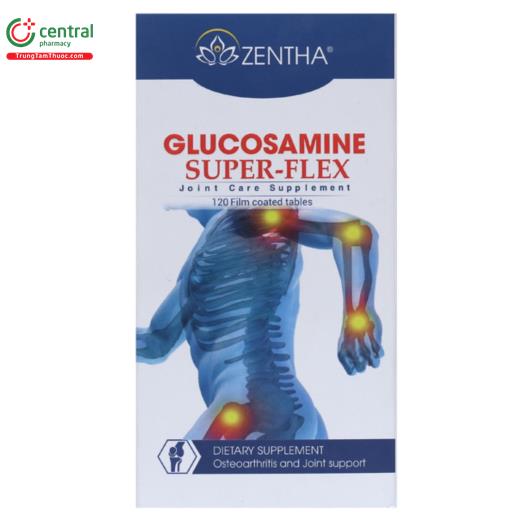 glucosamine super flex 1 E1808