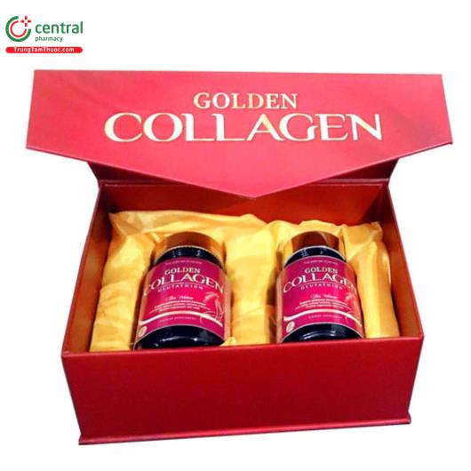 golden collagen 1 B0504