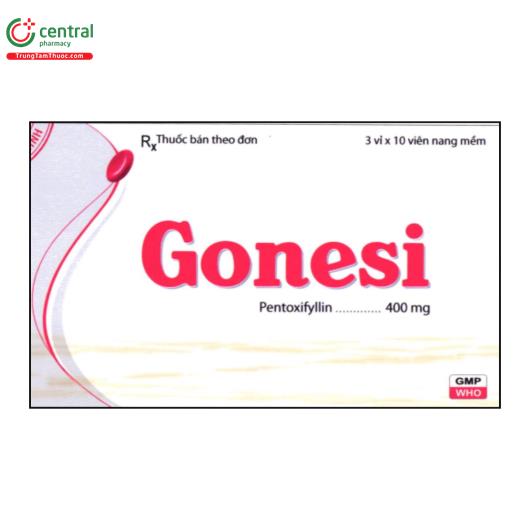 gonesi 1 J3066