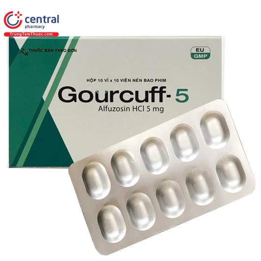 gourcuff 5 E1056