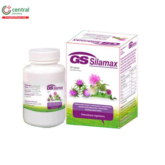 GS Silamax