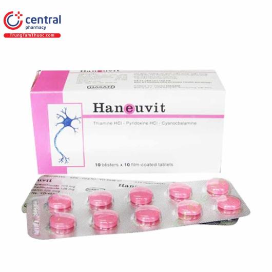 haneuvit 1 C1643