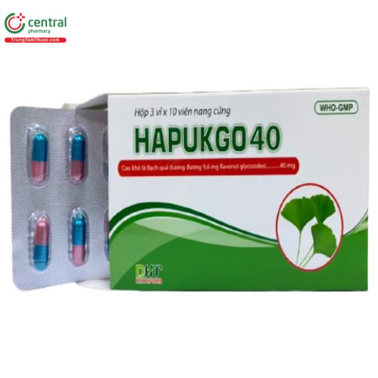 hapukgo 40 P6265