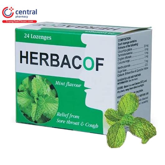 herbacof mint flavour 2 L4117