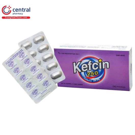 kefcin 250 D1068