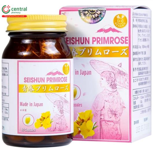 kenkan seishun primrose 7 B0865